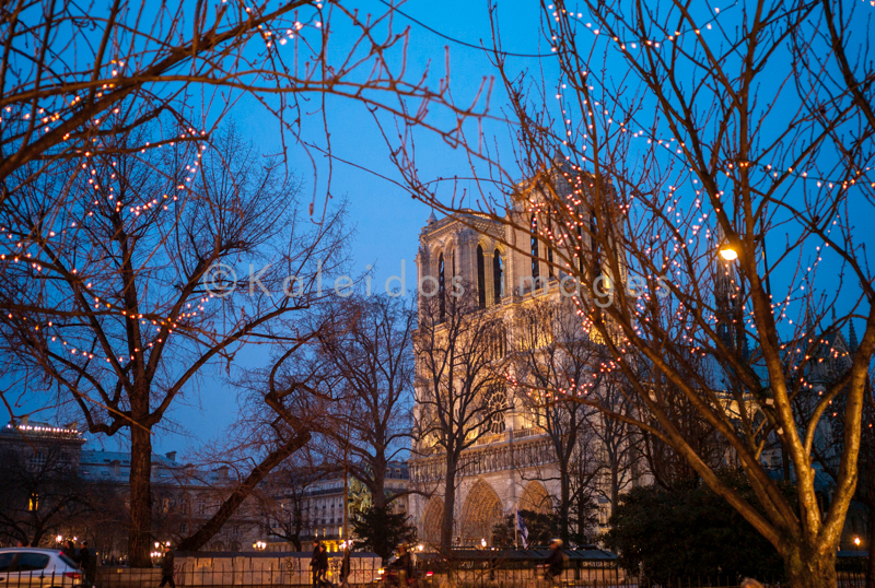 Cathedrals;Catholics;Christianity;Kaleidos;Kaleidos images;Notre-Dame-de-Paris;Paris;Places of worship;Tarek Charara;Winter